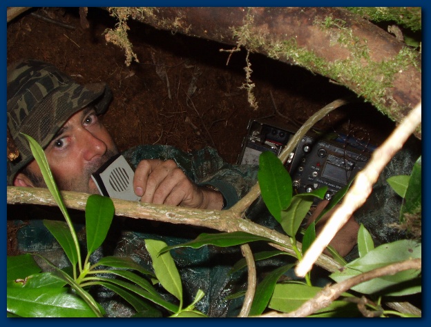 600x449 pixels (140K)